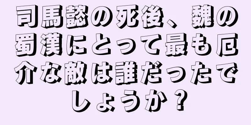 司馬懿の死後、魏の蜀漢にとって最も厄介な敵は誰だったでしょうか？