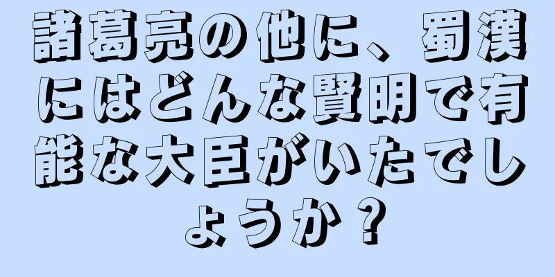 諸葛亮の他に、蜀漢にはどんな賢明で有能な大臣がいたでしょうか？