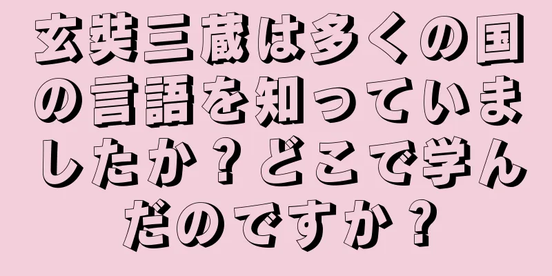玄奘三蔵は多くの国の言語を知っていましたか？どこで学んだのですか？