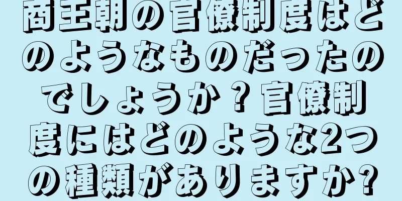 商王朝の官僚制度はどのようなものだったのでしょうか？官僚制度にはどのような2つの種類がありますか?