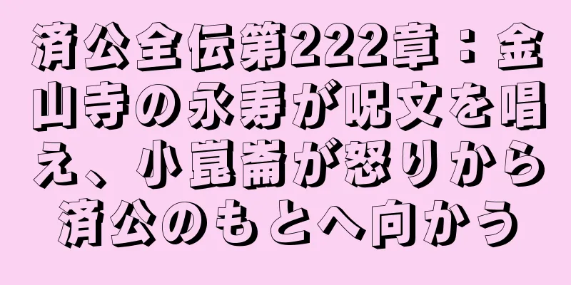 済公全伝第222章：金山寺の永寿が呪文を唱え、小崑崙が怒りから済公のもとへ向かう