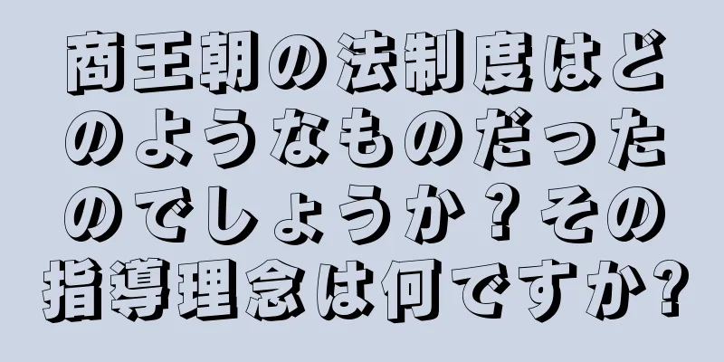 商王朝の法制度はどのようなものだったのでしょうか？その指導理念は何ですか?