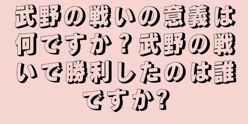 武野の戦いの意義は何ですか？武野の戦いで勝利したのは誰ですか?