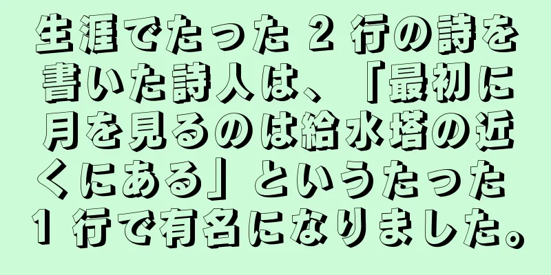 生涯でたった 2 行の詩を書いた詩人は、「最初に月を見るのは給水塔の近くにある」というたった 1 行で有名になりました。