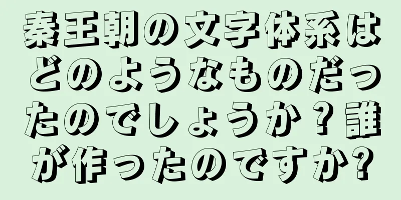 秦王朝の文字体系はどのようなものだったのでしょうか？誰が作ったのですか?