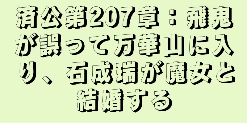 済公第207章：飛鬼が誤って万華山に入り、石成瑞が魔女と結婚する
