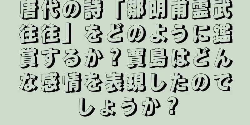 唐代の詩「鄒明甫霊武往往」をどのように鑑賞するか？賈島はどんな感情を表現したのでしょうか？