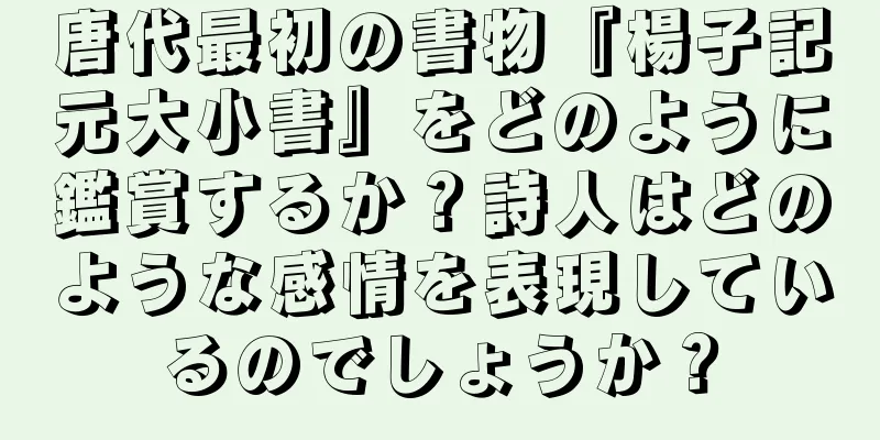 唐代最初の書物『楊子記元大小書』をどのように鑑賞するか？詩人はどのような感情を表現しているのでしょうか？