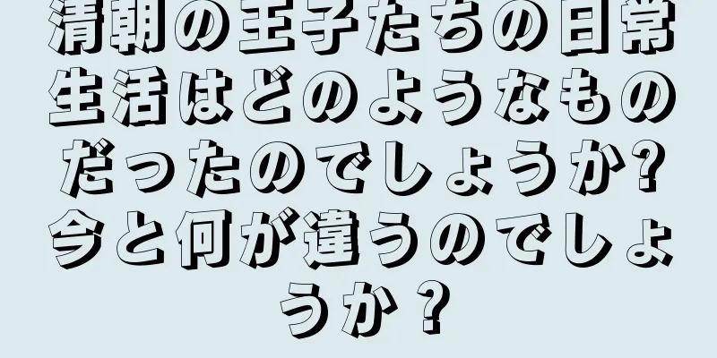 清朝の王子たちの日常生活はどのようなものだったのでしょうか?今と何が違うのでしょうか？