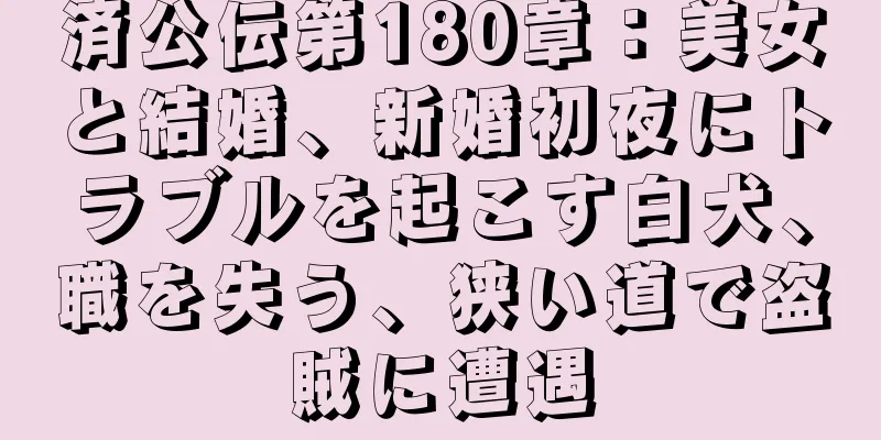 済公伝第180章：美女と結婚、新婚初夜にトラブルを起こす白犬、職を失う、狭い道で盗賊に遭遇