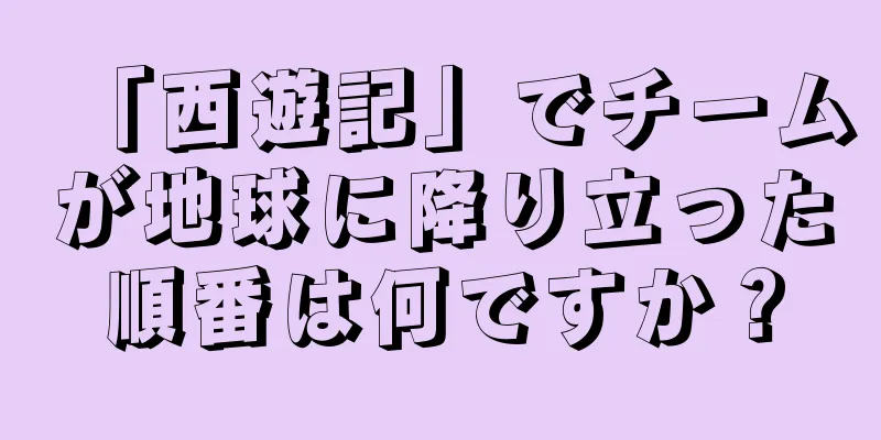 「西遊記」でチームが地球に降り立った順番は何ですか？