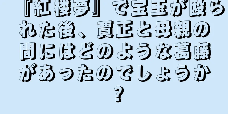 『紅楼夢』で宝玉が殴られた後、賈正と母親の間にはどのような葛藤があったのでしょうか？