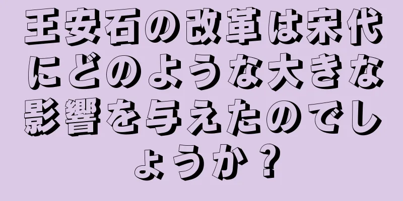 王安石の改革は宋代にどのような大きな影響を与えたのでしょうか？
