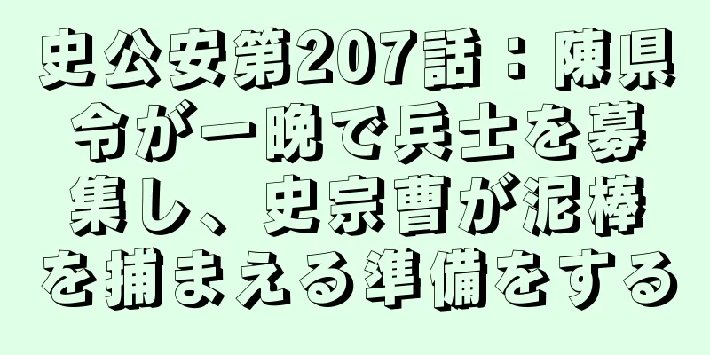 史公安第207話：陳県令が一晩で兵士を募集し、史宗曹が泥棒を捕まえる準備をする
