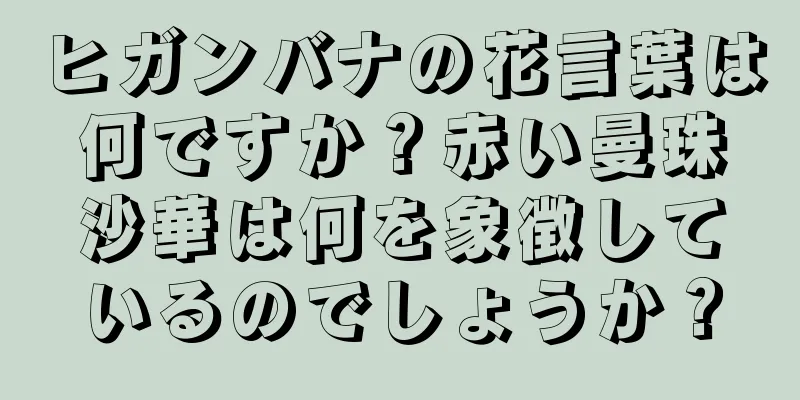 ヒガンバナの花言葉は何ですか？赤い曼珠沙華は何を象徴しているのでしょうか？