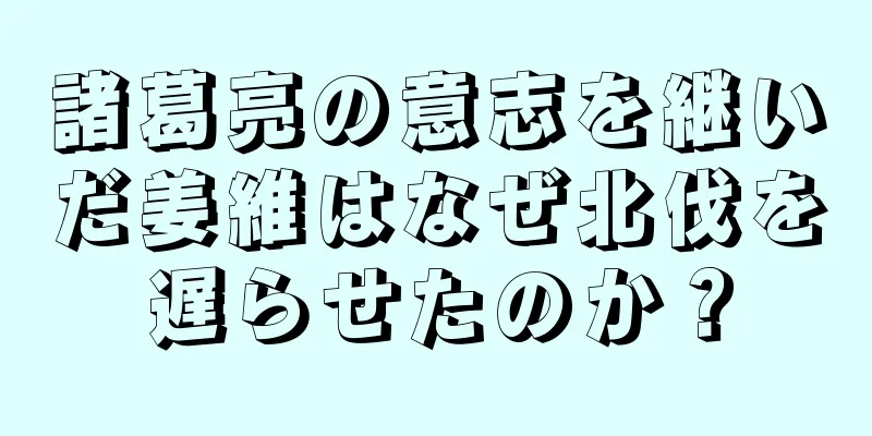 諸葛亮の意志を継いだ姜維はなぜ北伐を遅らせたのか？