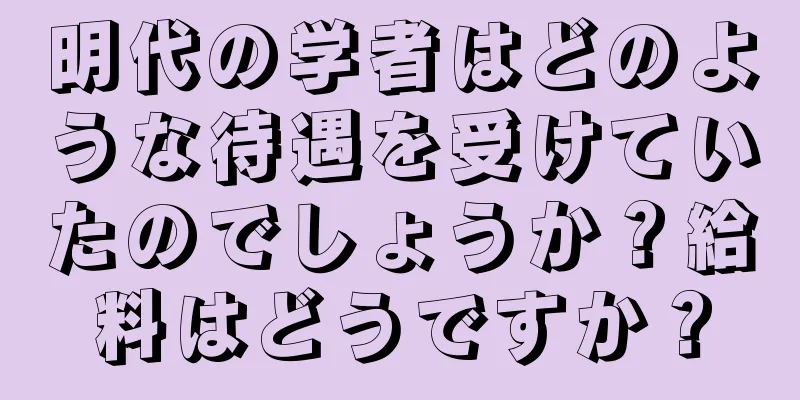 明代の学者はどのような待遇を受けていたのでしょうか？給料はどうですか？