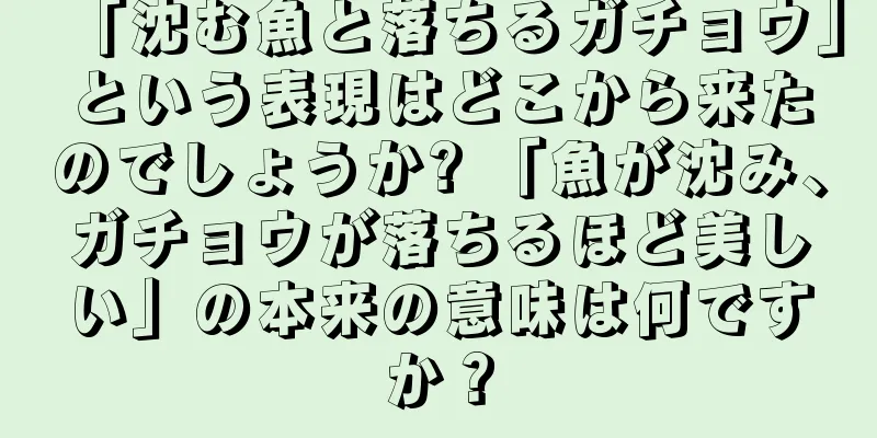 「沈む魚と落ちるガチョウ」という表現はどこから来たのでしょうか? 「魚が沈み、ガチョウが落ちるほど美しい」の本来の意味は何ですか？