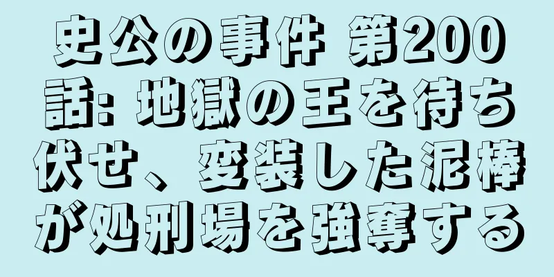 史公の事件 第200話: 地獄の王を待ち伏せ、変装した泥棒が処刑場を強奪する