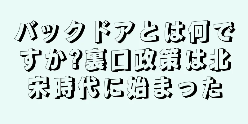 バックドアとは何ですか?裏口政策は北宋時代に始まった