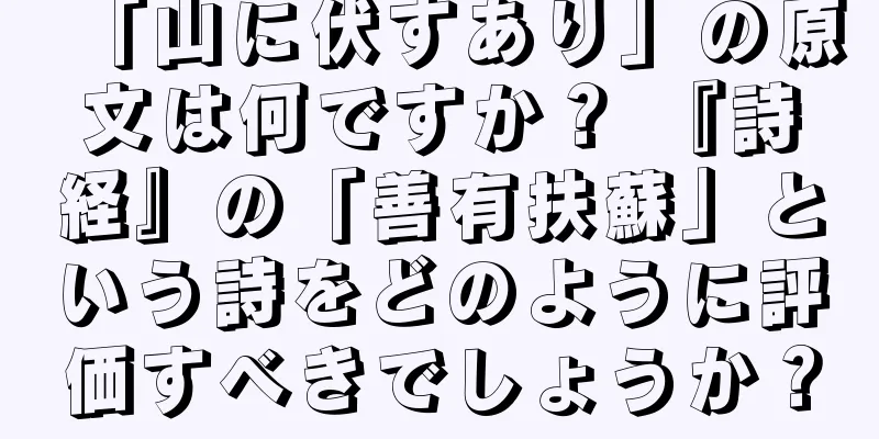 「山に伏すあり」の原文は何ですか？ 『詩経』の「善有扶蘇」という詩をどのように評価すべきでしょうか？