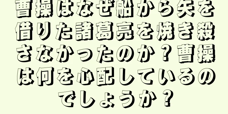 曹操はなぜ船から矢を借りた諸葛亮を焼き殺さなかったのか？曹操は何を心配しているのでしょうか？