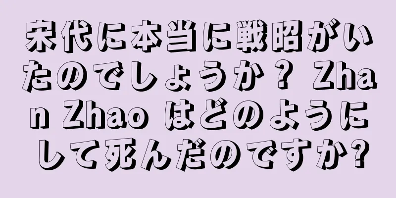 宋代に本当に戦昭がいたのでしょうか？ Zhan Zhao はどのようにして死んだのですか?