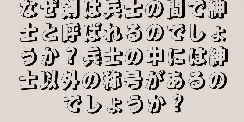 なぜ剣は兵士の間で紳士と呼ばれるのでしょうか？兵士の中には紳士以外の称号があるのでしょうか？