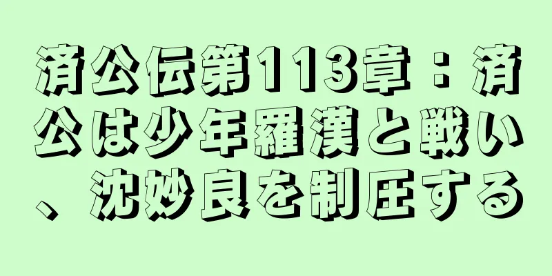 済公伝第113章：済公は少年羅漢と戦い、沈妙良を制圧する