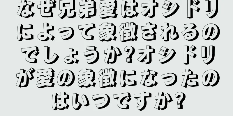 なぜ兄弟愛はオシドリによって象徴されるのでしょうか?オシドリが愛の象徴になったのはいつですか?