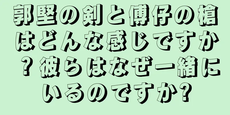 郭堅の剣と傅仔の槍はどんな感じですか？彼らはなぜ一緒にいるのですか?