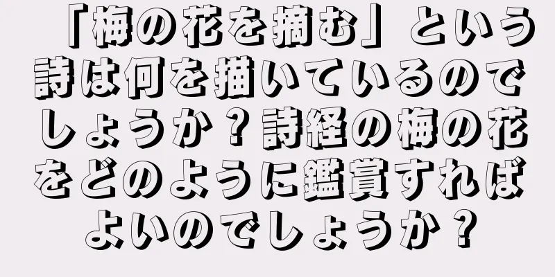 「梅の花を摘む」という詩は何を描いているのでしょうか？詩経の梅の花をどのように鑑賞すればよいのでしょうか？