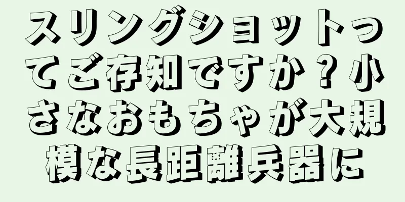 スリングショットってご存知ですか？小さなおもちゃが大規模な長距離兵器に