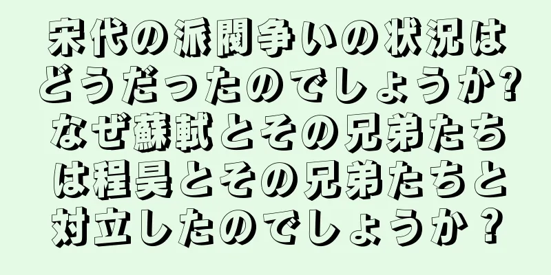 宋代の派閥争いの状況はどうだったのでしょうか?なぜ蘇軾とその兄弟たちは程昊とその兄弟たちと対立したのでしょうか？