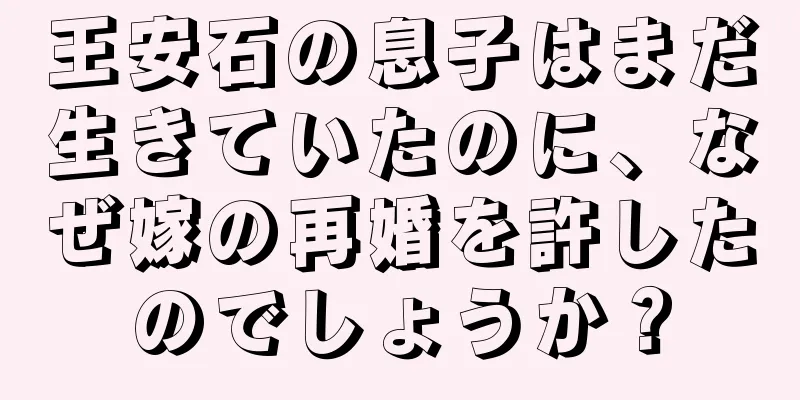 王安石の息子はまだ生きていたのに、なぜ嫁の再婚を許したのでしょうか？