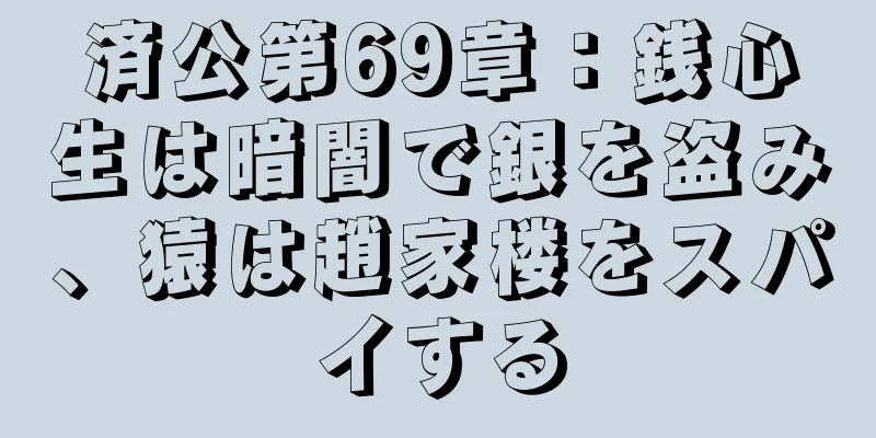 済公第69章：銭心生は暗闇で銀を盗み、猿は趙家楼をスパイする