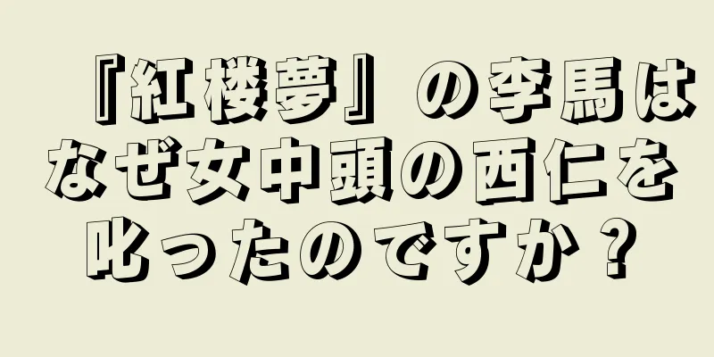 『紅楼夢』の李馬はなぜ女中頭の西仁を叱ったのですか？