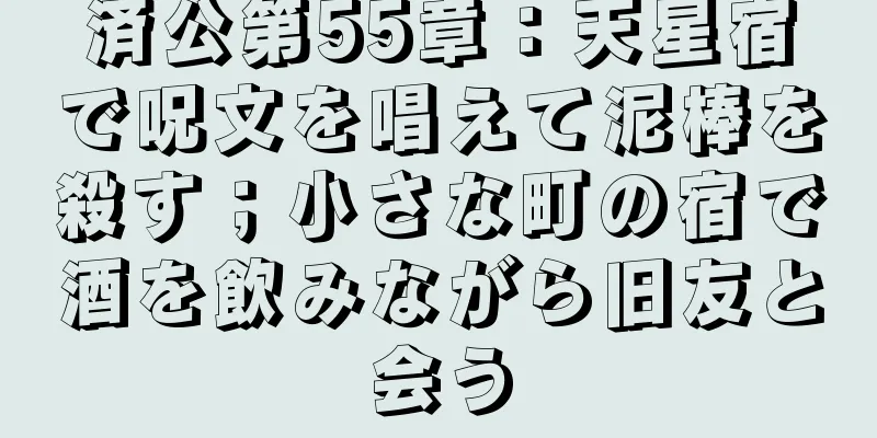 済公第55章：天星宿で呪文を唱えて泥棒を殺す；小さな町の宿で酒を飲みながら旧友と会う