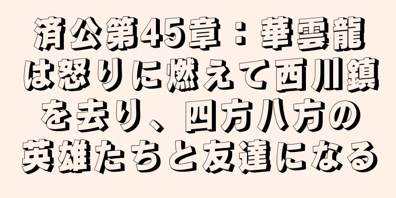 済公第45章：華雲龍は怒りに燃えて西川鎮を去り、四方八方の英雄たちと友達になる