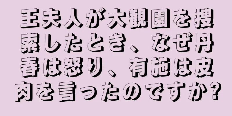 王夫人が大観園を捜索したとき、なぜ丹春は怒り、有施は皮肉を言ったのですか?