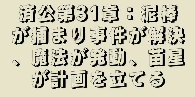 済公第31章：泥棒が捕まり事件が解決、魔法が発動、苗星が計画を立てる