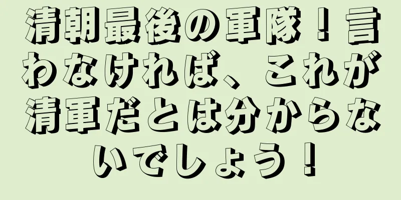清朝最後の軍隊！言わなければ、これが清軍だとは分からないでしょう！