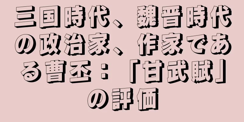 三国時代、魏晋時代の政治家、作家である曹丕：「甘武賦」の評価