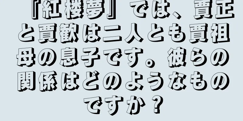 『紅楼夢』では、賈正と賈歓は二人とも賈祖母の息子です。彼らの関係はどのようなものですか？