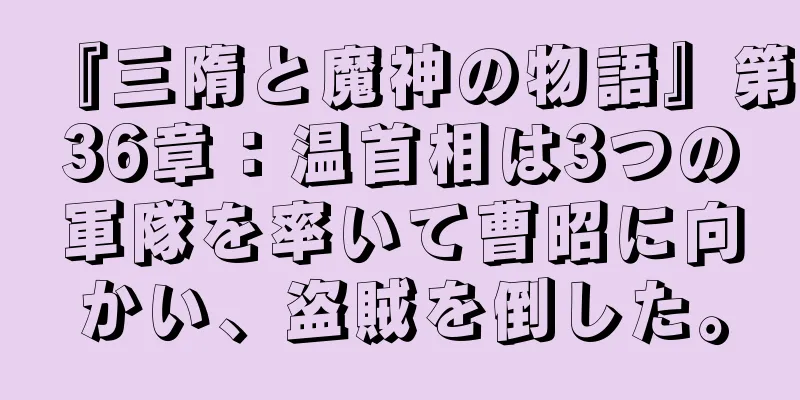 『三隋と魔神の物語』第36章：温首相は3つの軍隊を率いて曹昭に向かい、盗賊を倒した。