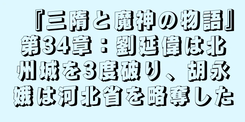 『三隋と魔神の物語』第34章：劉延偉は北州城を3度破り、胡永娥は河北省を略奪した