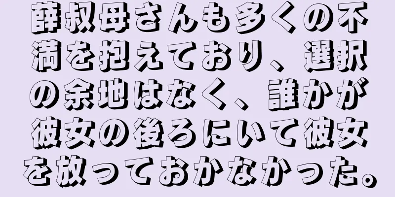 薛叔母さんも多くの不満を抱えており、選択の余地はなく、誰かが彼女の後ろにいて彼女を放っておかなかった。