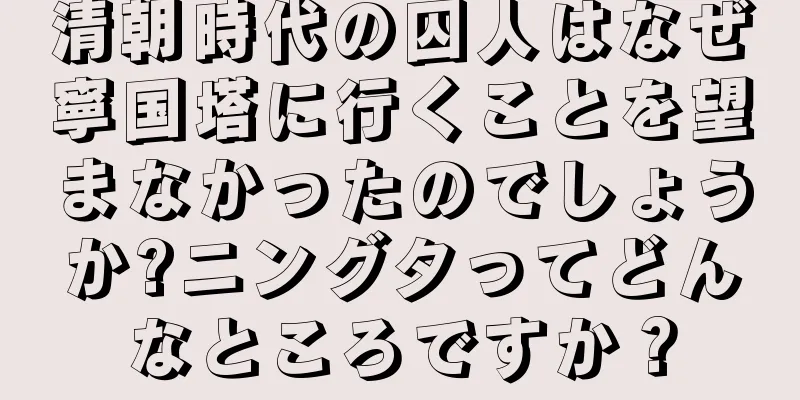清朝時代の囚人はなぜ寧国塔に行くことを望まなかったのでしょうか?ニングタってどんなところですか？