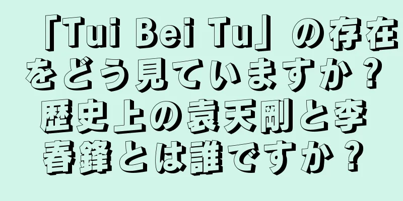 「Tui Bei Tu」の存在をどう見ていますか？歴史上の袁天剛と李春鋒とは誰ですか？