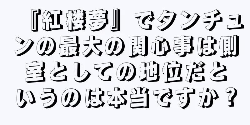 『紅楼夢』でタンチュンの最大の関心事は側室としての地位だというのは本当ですか？